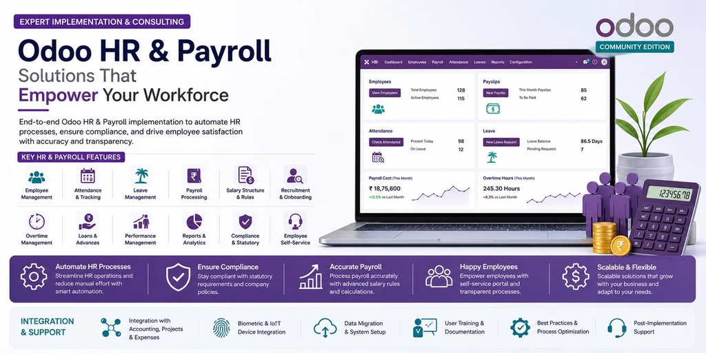 Odoo HR and Payroll Implementation & Consulting