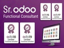 Odoo Functional Consultant