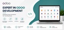 I will provide expert remote Odoo development and technical consulting