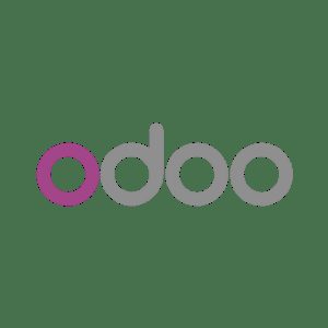 Odoo Developer
